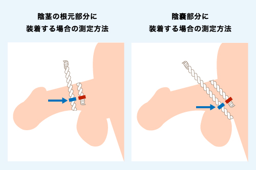 でかいちんこの基準とは？日本人平均や大きくする方法を解説 |【公式】ユナイテッドクリニック