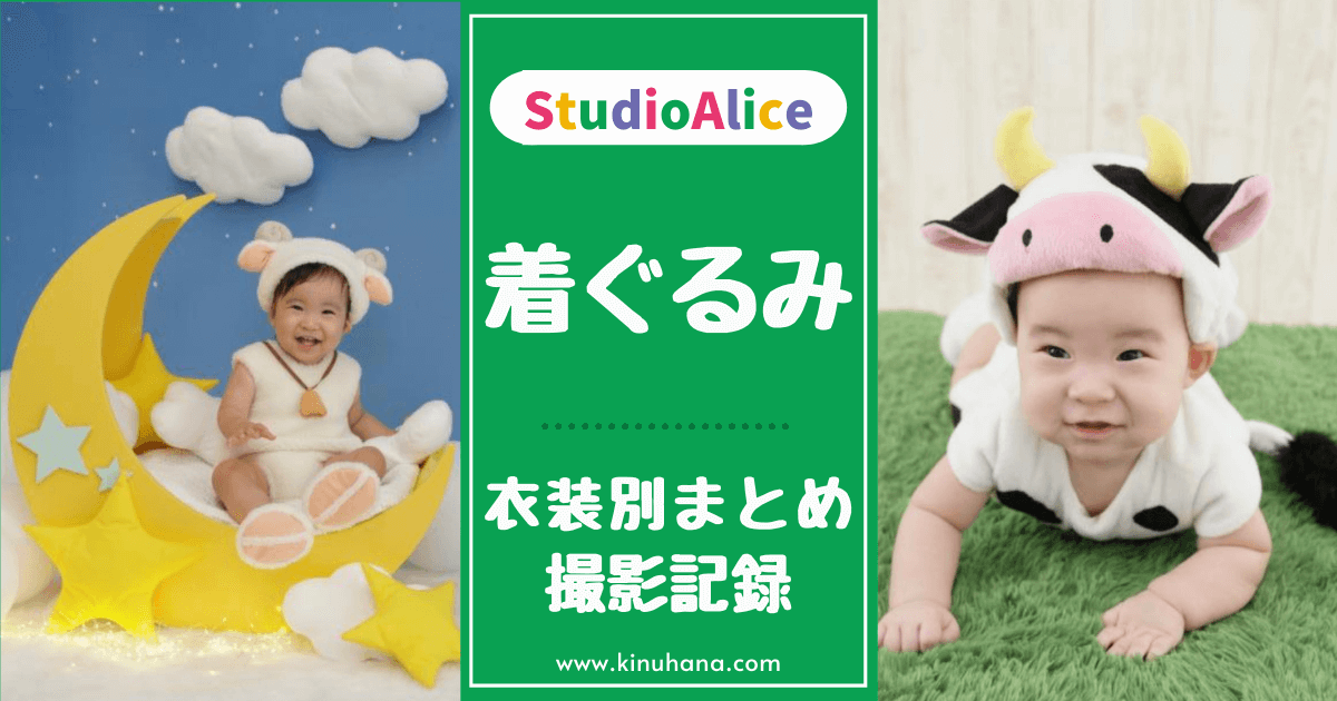 衣装情報は続きを読むから★ , 🐝ハチ🐝の衣装がとってもお似合いで, 終始ニコニコはじける笑顔にほっこり☺️,ひまわりに囲まれて笑顔がさらに輝いていますね🌻✨, ハーフバースデーおめでとうございます🎉, ——————————————, @__ndk.520さま、素敵な動画をありがとうございました🍀, ——————————————, ＼赤ちゃんの