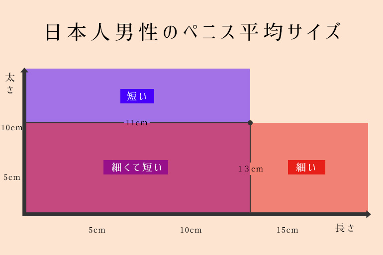 日本人の平均ペニスサイズはこれだ！ 全体の長さ：平均13.56cm 亀頭の直径：平均3.53cm 竿の直径：平均3.19cm