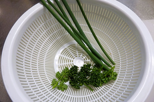 オリーブの実を収穫するパレスチナの農家の女性。農家にとって家族総出で行う収穫作業は本来、ピクニックのような楽しい年中行事だ - オリーブ油が結ぶ縁パレスチナの人々へ緊急カンパ呼びかけ - 写真・画像 1 5西日本新聞me