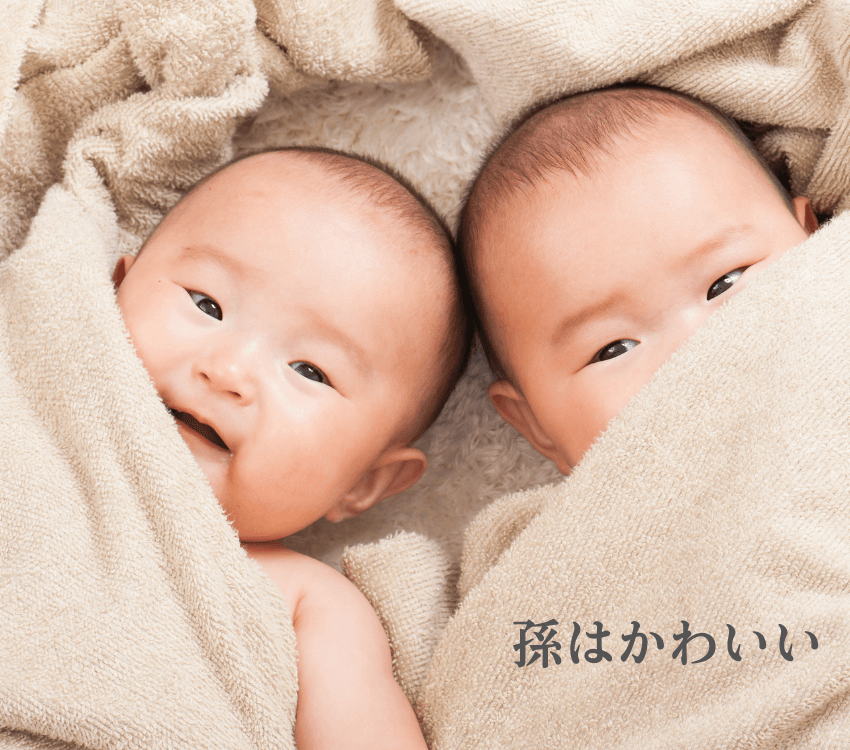 こそだデータ・トーク 第３回いよいよ、こそだて研・渋谷所長が登場！じいじとばあばとの“孫付き合い” 博報堂WEBマガジン センタードット