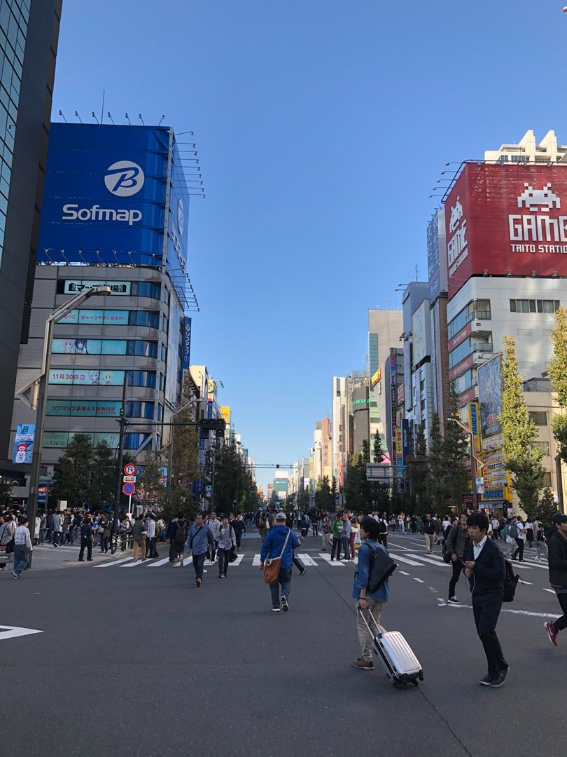 のん はついく秋葉原】 |