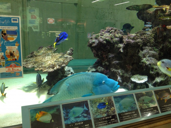 那覇空港の授乳室・オムツ替え台情報