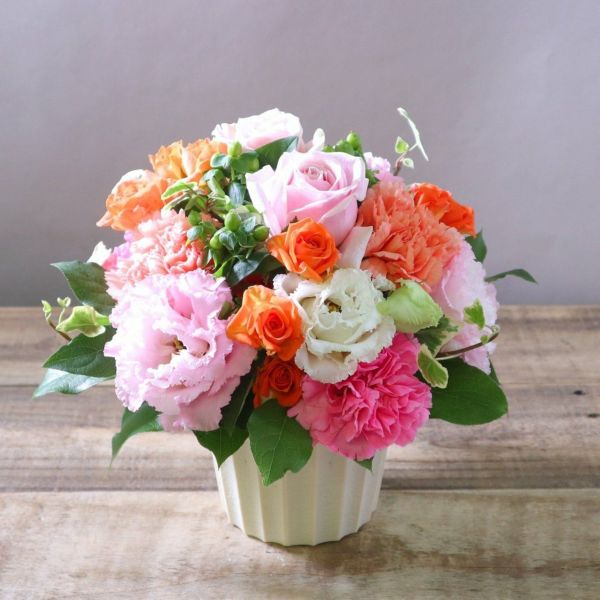 卒業・卒園祝いの花・植物