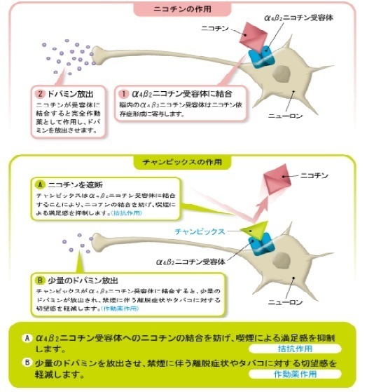 医療法人社団 真 ゆかりホームクリニック｜千葉市幕張の訪問診療クリニック