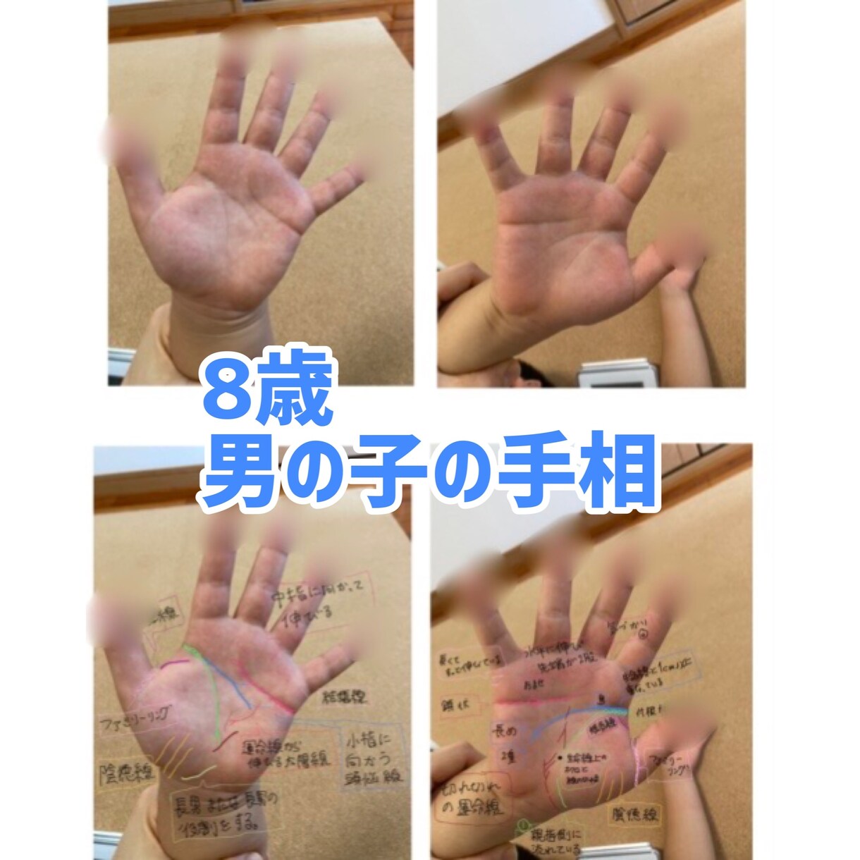 大串ノリコが占う2023年の運勢と活躍する手相５選 - cocoloni占い館 Sun