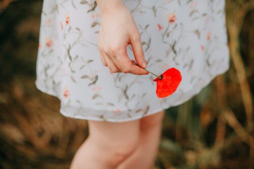 眞栄田郷敦 まえだごうどん は新田真剣佑と兄弟で二人の本名と母は？ - ka-suke blog