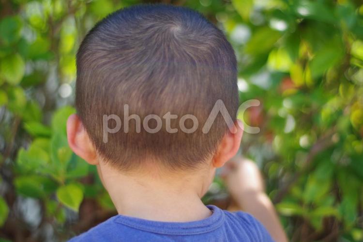 まだまだ暑いね☀️おしゃれボウズスタイル✨こども美容室こども専門美容室こどもカットこどもヘアスタイルこどもの髪型こどもヘアアレンジ子ども美容室子ども専門美容室子どもカット子どもヘアスタイル子どもの髪型子どもヘアアレンジキッズ