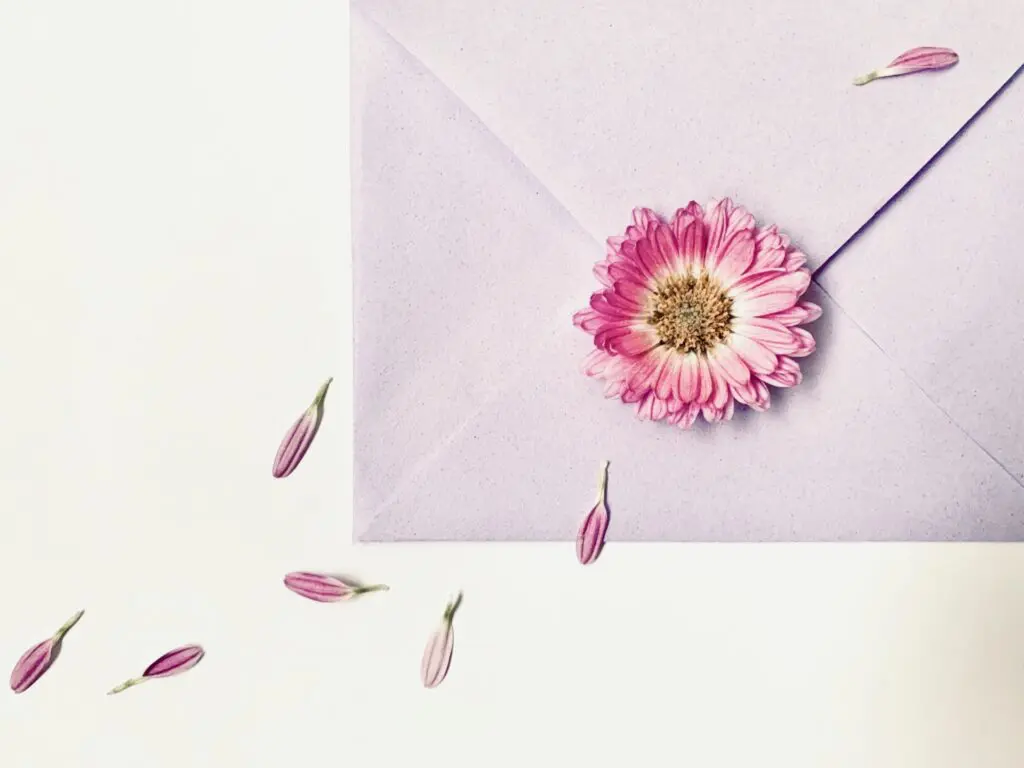 まとめ 結婚式の招待状文例集！挙式・パターン別にぜんぶ載せ！花嫁ノート