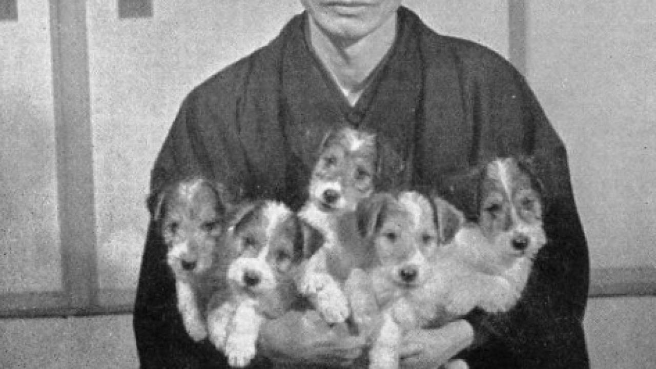 川端康成の妻との馴れ初めは？子供は？従兄弟の娘・政子を養女にしていた