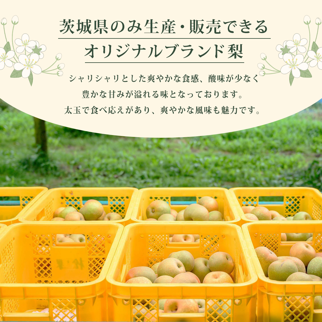 2025年 初任給で祖父母に贈るプレゼント10選日本製の上質ギフトで喜んでもらおう！伝統工芸品ならBECOS