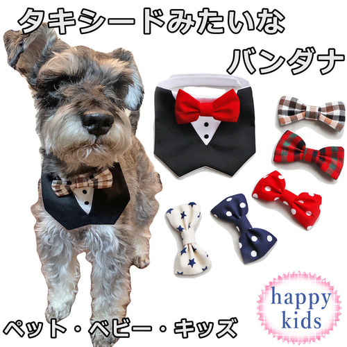 パーティーカラー蝶ネクタイ付き付け襟