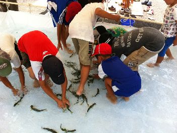 69 件の「お泊まり会など」や「キッズアクティビティー」のアイデアを見つけましょうこども 遊び、子供 室内 遊び、お泊まり など