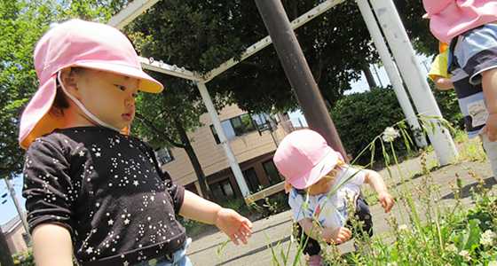 横浜市神奈川区の保育園・幼稚園ランキング10 ホームメイト