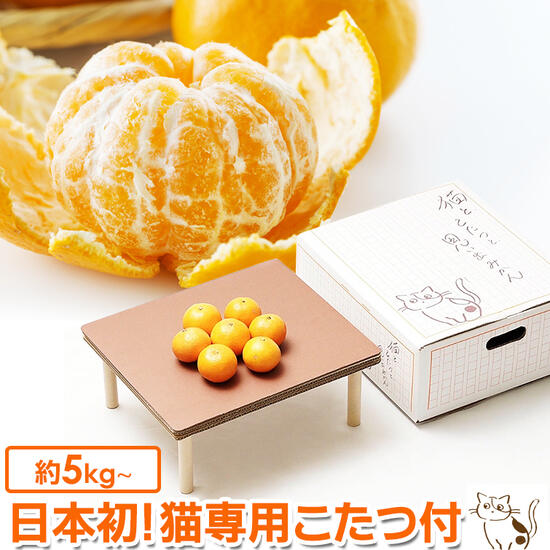 映画『こたつと、みかんと、ニャー。』予告編