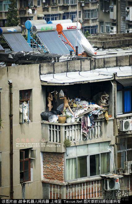 赏心悦目美丽裸体(东方版): 少女的全裸写真