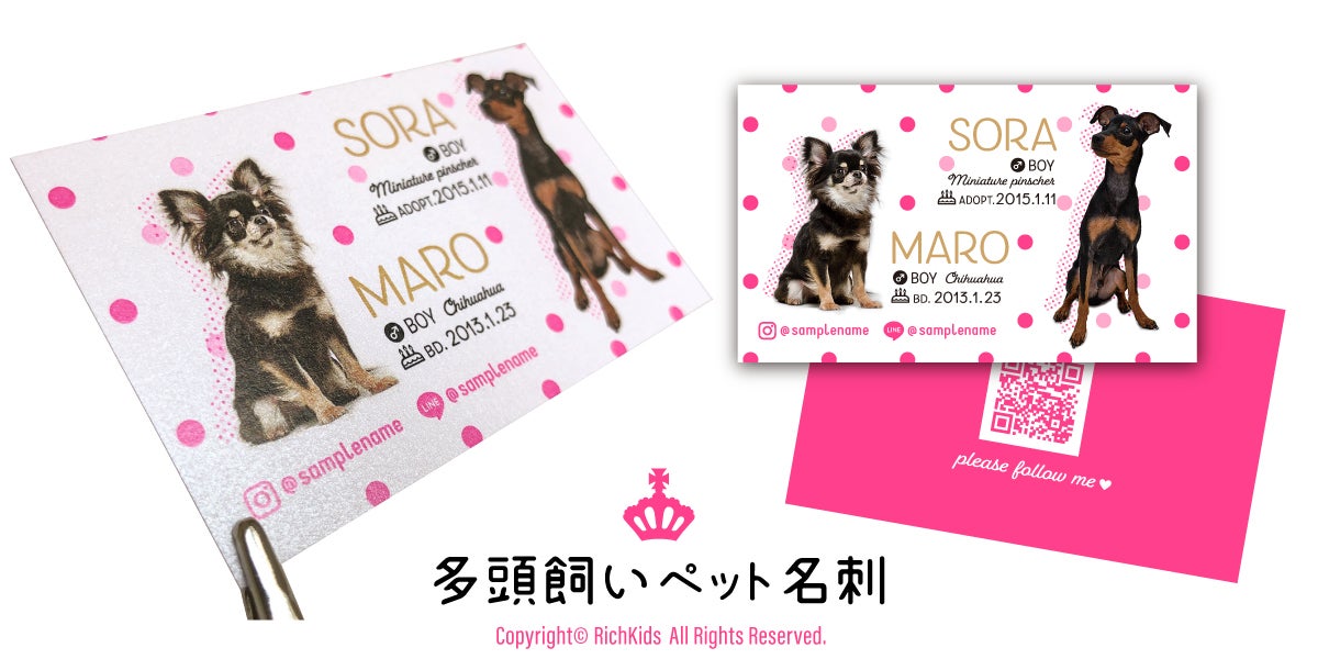 両面100枚 2匹用多頭飼い 2頭 犬名刺 猫名刺 ペット名刺 うちの子名刺 名刺入れ 名刺ケース カード オーダーメイド オリジナル親バカグッズ うちの子グッズ 犬用 猫用 ペット用Pay ID