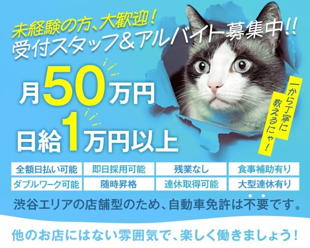 東京のオナクラ・手コキ求人【バニラ】で高収入バイト