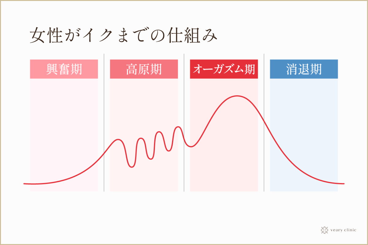 男性は、女性は全員イケると思ってる⁉️ 女性の2人に1人はイケないんです。 .