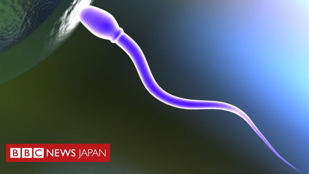 日本比較生理生化学会