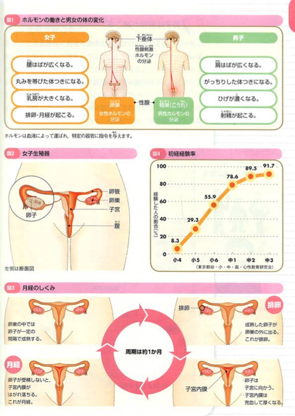 エロすぎる！？保健の教科書に載っている変なイラスト8選