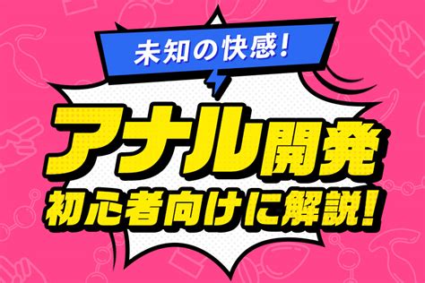 レベル別】アナル拡張の安全なやり方とおすすめグッズ20選 | STERON