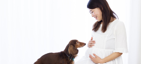 ワンちゃんも一緒にマタニティフォト撮影☆プレシュスタジオ西宮夙川店 店舗ブログプレシュスタジオ