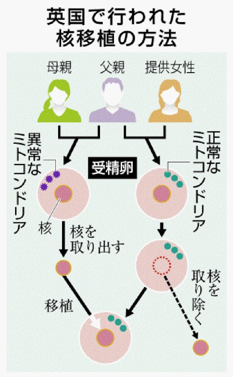 妊活男性にオススメ！精子力アップのレシピ-おむつのムーニー 公式 ユニ・チャーム