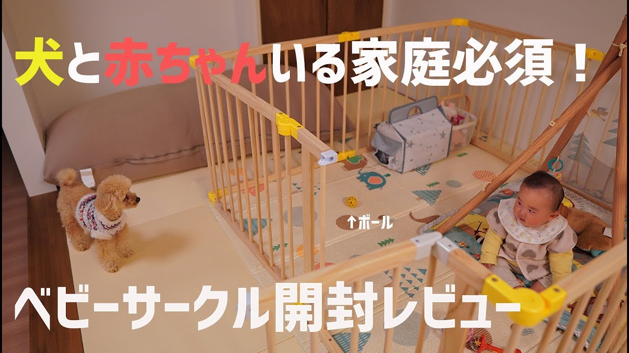 室内犬のための部屋の作り方！レイアウトの工夫やインテリアの選び方など2 2わんちゃんホンポ