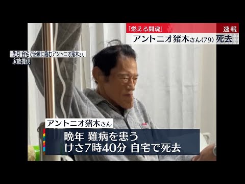 アントニオ猪木さん追悼！？ 『よりぬき！浦安鉄筋家族 国会議員編』がマンガクロスで全話無料公開 11月3日までガジェット通信 GetNews