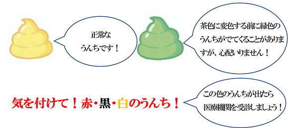 検索結果 - 医療のイラスト・写真・動画、素材販売サイトのメディック medick