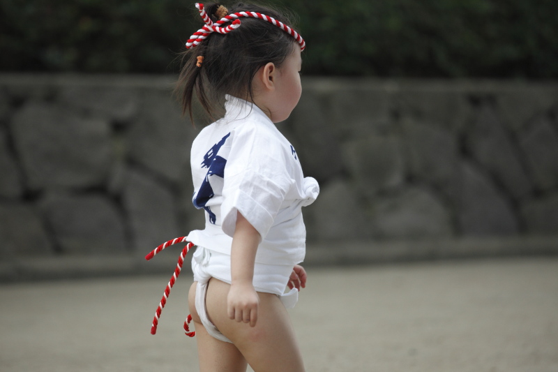 猫と博多祇園山笠の楽しい瞬間TikTok