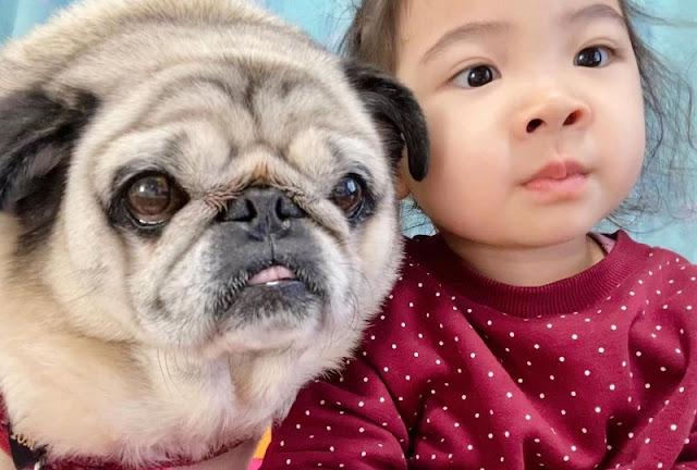 赤ちゃんが笑う、新生児微笑とは？いつから見られる？ 助産師監修楽天市場Mama's Life