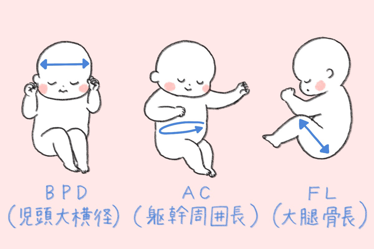 赤ちゃんの体重の目安成長を見守るヒントパンパース