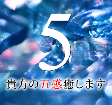 ５Fからこんにちは | 調剤薬局ファイブエフ [宮城県仙台市泉区] |