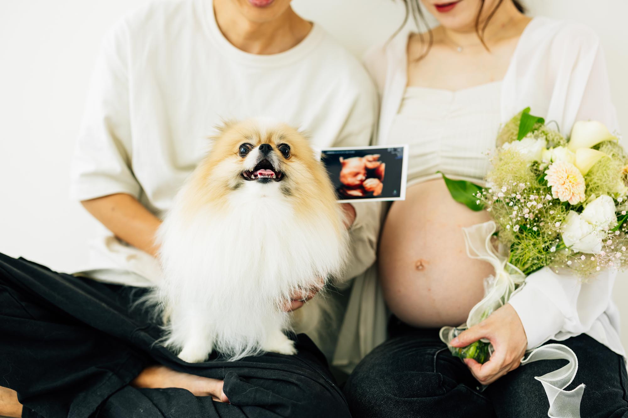 愛犬と一緒にマタニティフォトを撮影するなら！プランの詳細や実例を紹介 - ハピリィフォトスタジオ