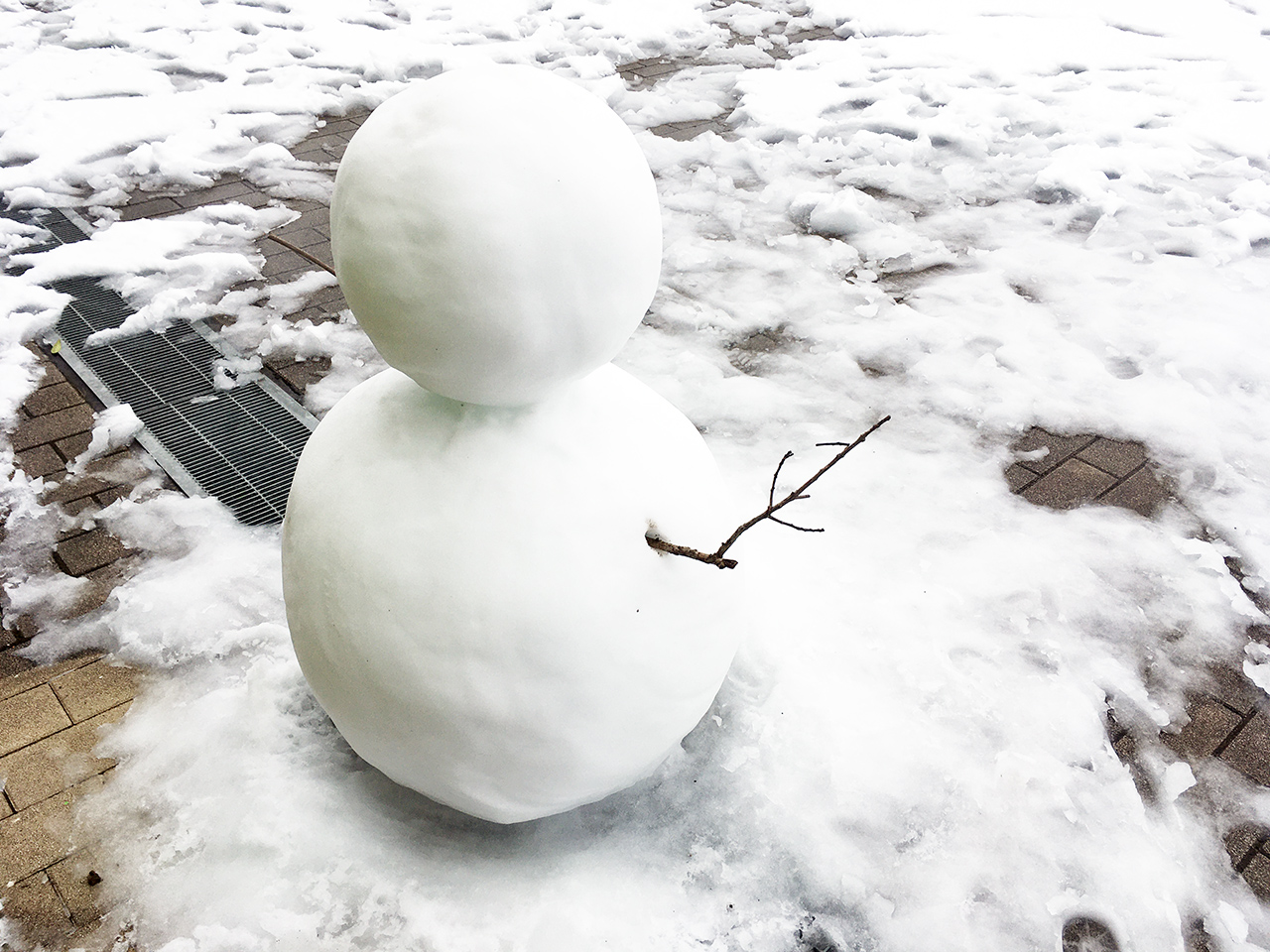 多摩市】2月10日に関東で積雪・雪模様の多摩ニュータウンを歩きました！ | 号外NET