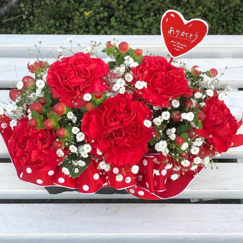 母の日プレゼントの定番のカーネーション！花言葉は知ってる？プロのお花屋さんが厳選！フジテレビフラワーネット