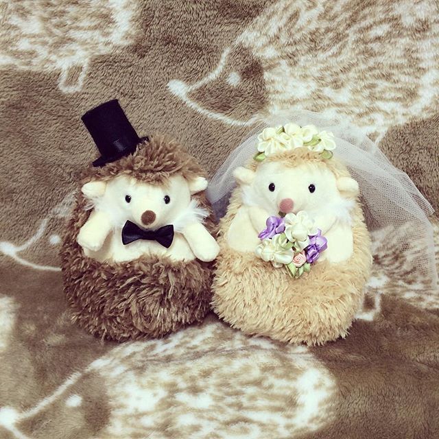 楽天市場 針・綿200g付き ウェルカムボードにもなる ウェディングベア手作りキット クリーム メモリアル ウエルカムベア ウェルカムドール くまぬいぐるみ 結婚式 結婚祝い : Hitomiの幸せデリバリ