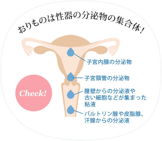 性行痛の方】濡れるメカニズムとは？？ - フェムケア専門サロン 膣ラボ「ブーケ」フェムケア専門サロン