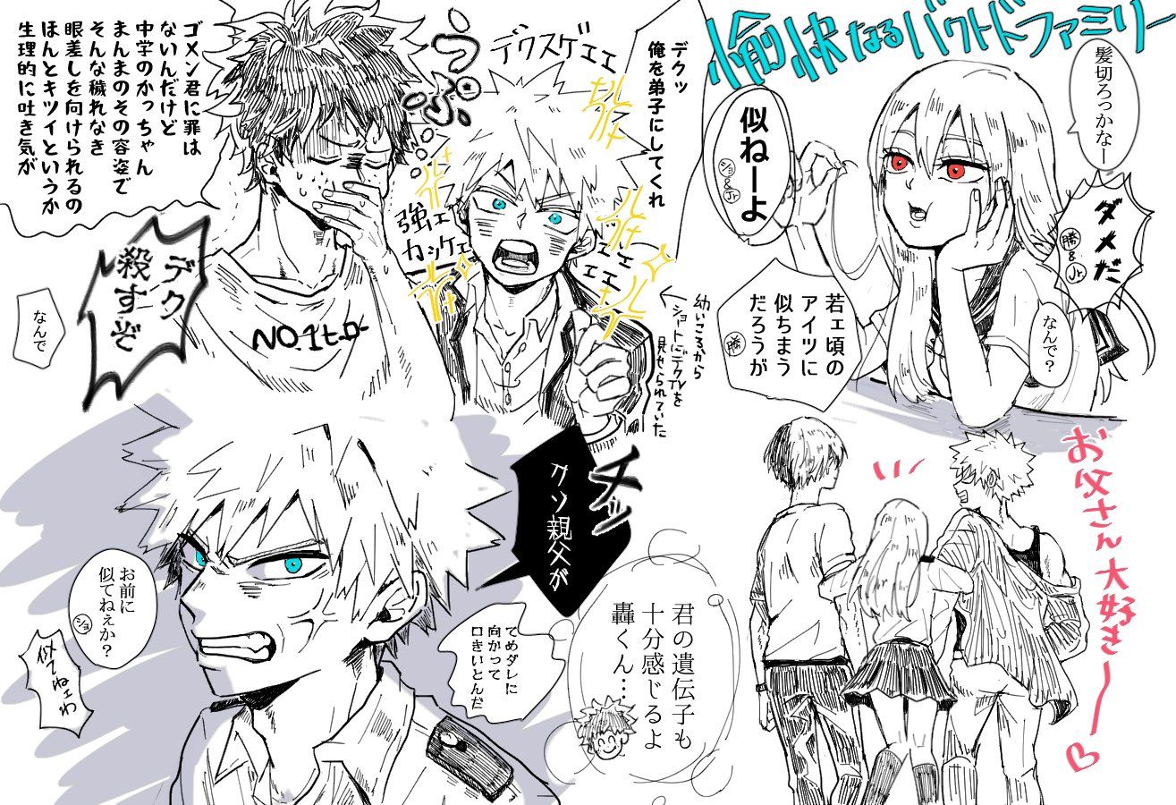 轟冷 轟母 ヒロアカ大図鑑