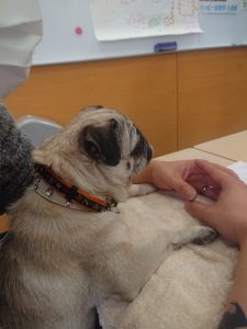 こどもと鉛筆のイラスト・無料イラスト フリー素材