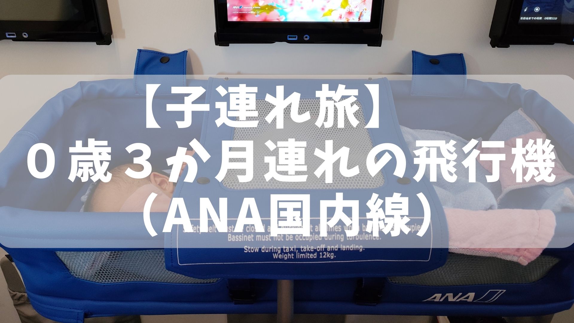 赤ちゃんと飛行機に乗る前に読んでほしいこと ANA体験談