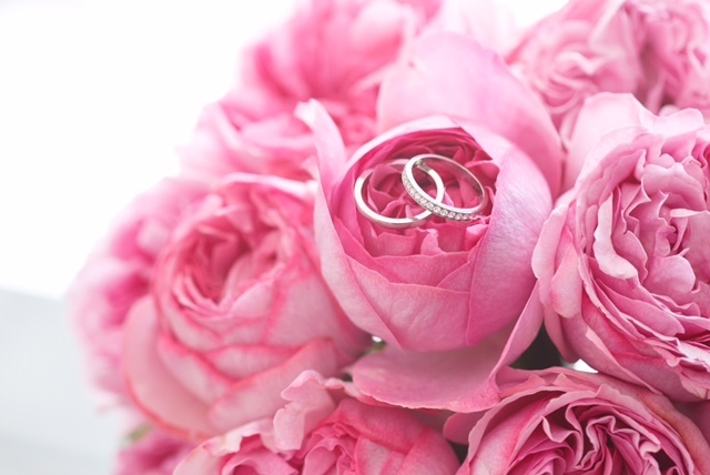 プロポーズをもう一度！ゲストの記憶に残る感動演出、ダーズンローズ