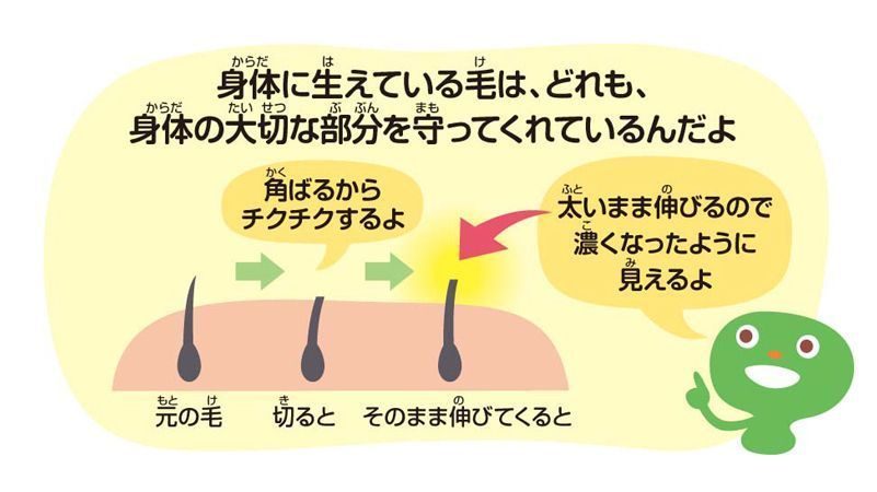 分別と分別と部屋とワイシャツとたわし / チン毛剃るとチクチクして痛い(>_<)