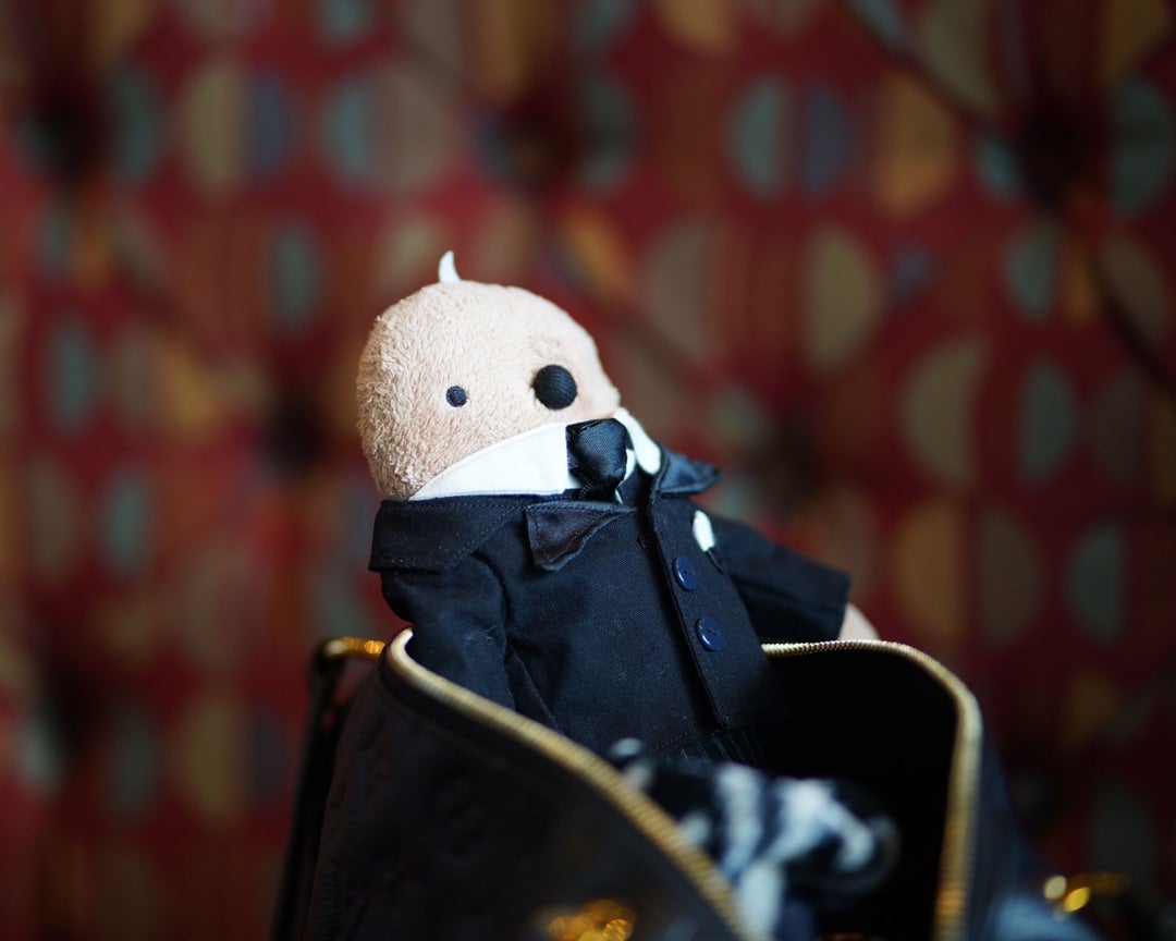 大好きなお二人との夢の国」 木村祐一夫妻、つまみ枝豆・江口ともみ夫妻とディズニーシーを満喫 1 2ねとらぼ