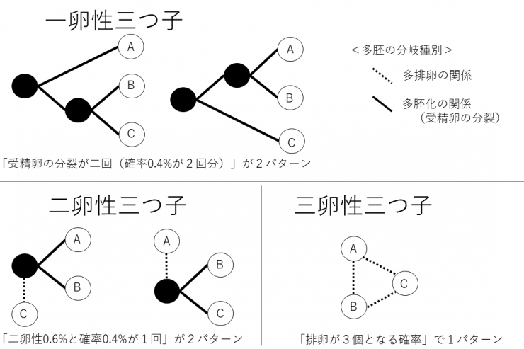 一卵性双生児同士のカップルの子どもが、遺伝子的に“兄弟”に 「非常にレアなケース」Pen Online