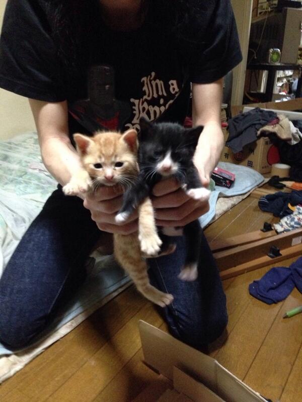 囲碁将棋×金属バットの番組担当Dが「アポなしロケ」の難しさを考える - QJWeb クイック・ジャパン ウェブ