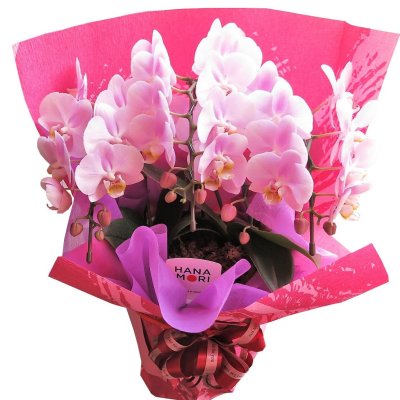 古希 お祝い 女性 プレゼント 湯呑み 名入れ 母 誕生日プレゼント 70代美濃焼 花工房 湯呑み美濃焼 日本製 陶器 和食器 湯飲み湯のみ 花柄 母親 義母 祖母 還暦 古稀 70歳 77歳 紫 喜寿祝い 米寿 傘寿