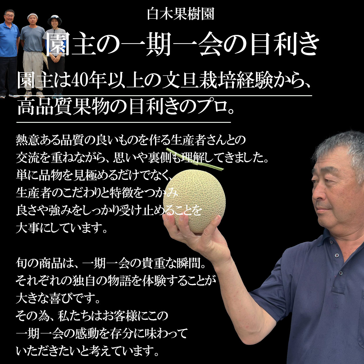 楽天市場】【夏ギフト お中元】トロピカルフルーツの王様高級アップルマンゴー 2個入り 秀品・化粧箱入り【母の日】【父の日】